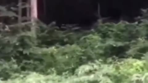Terrifying Cryptid Howls in Kentucky!
