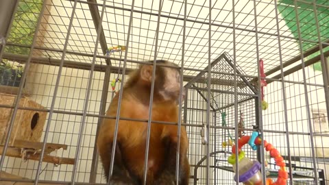 Getting up close and personal with Minnie