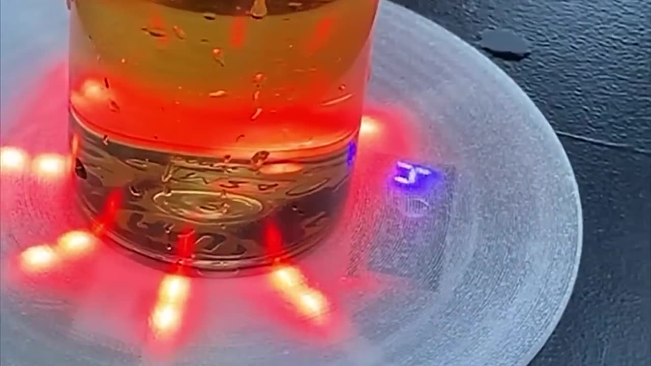 When the Beer Challenge Hits Harder Than the Bee