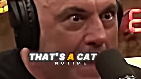 Giant Mountain Lion Freaks Out Joe Rogan