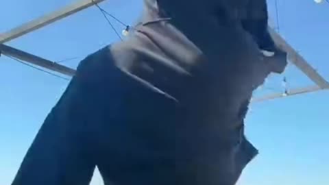 Bouncing this booty on my counter.