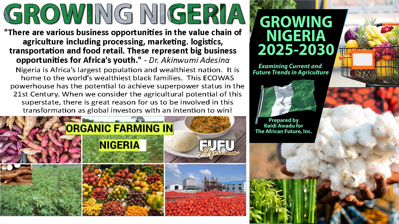 Growing Nigeria - Conscious Rasta Report