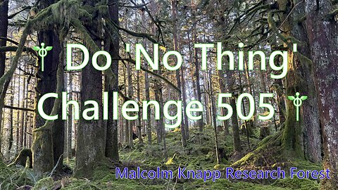 ⚚ Do 'No Thing' Challenge 505 ⚚ New Earth Creations #meditationshorts #donothing #mindfulness