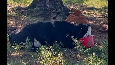 Blocking Ads And Comments On Comments