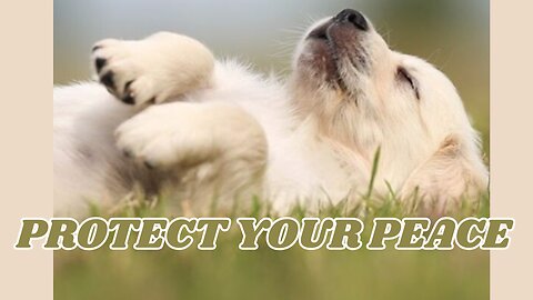 Your peace is worth protecting, even if it means disappointing others.🌿