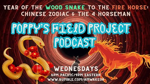 02/04/2026 Poppy's Field Project