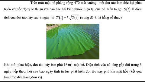 Trên một mặt hồ phẳng rộng 470 mét vuông, một đợt tảo lam độc hại pháttriển với tốc độ