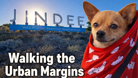 Exploring Liminal Roads with Cheeky. Urban Margins & Sunset Walks