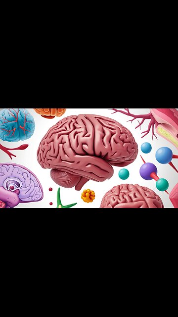Top 10 Mind-Blowing Facts About the Human Brain 🧠 | You Won’t Believe #5!