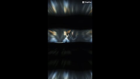 Haus Pia Serviced Apartments