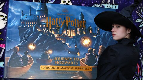 Harry Potter Journey To Hogwarts Pop Up Book! | Review