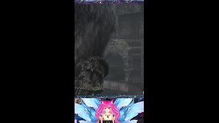 Shadow of the Colossus: Argus