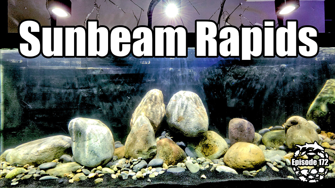 Making a Fast Flowing Mountain Stream Aquarium