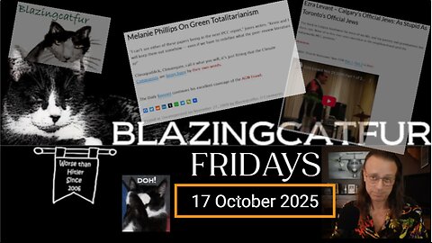 Blazing Cat Fur Fridays - October 17, 2025
