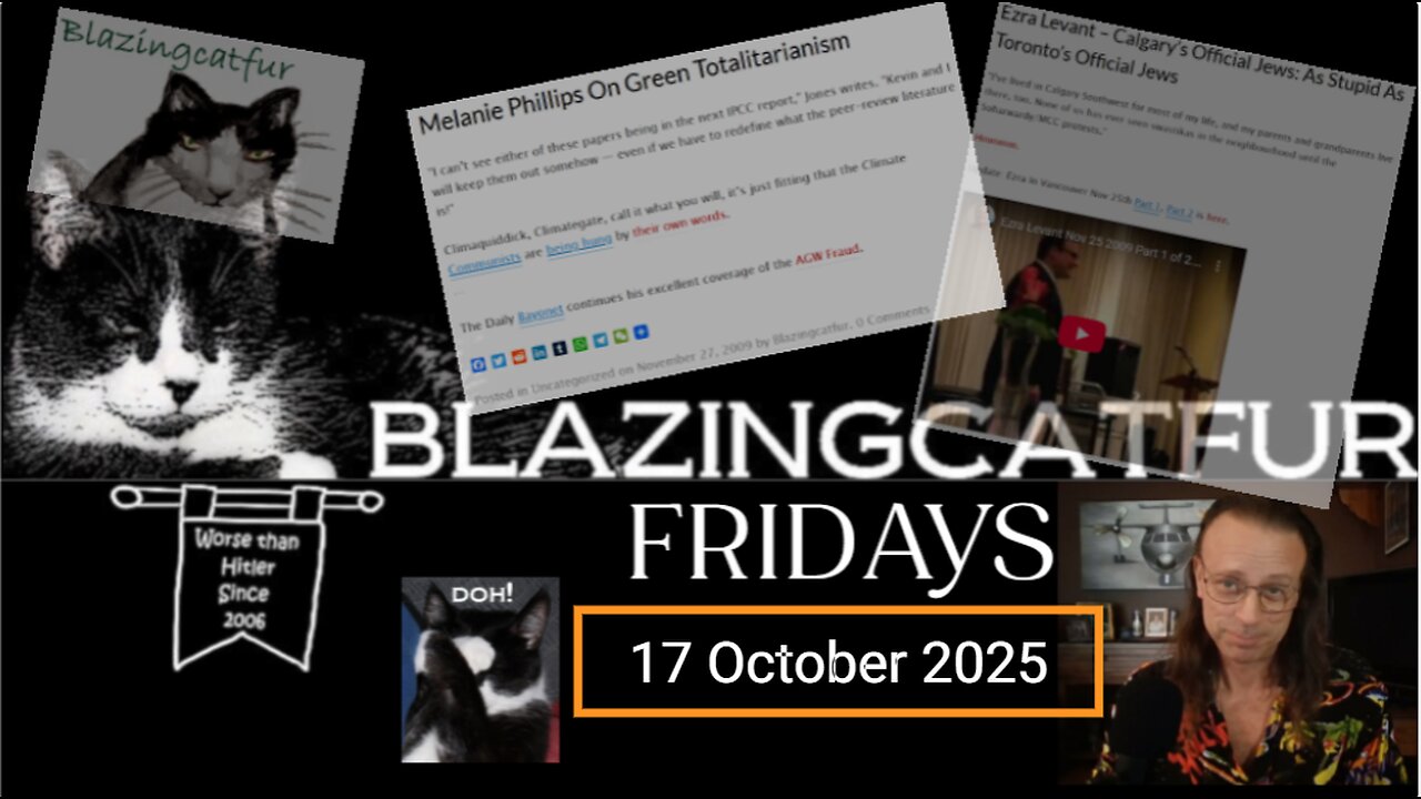 Blazing Cat Fur Fridays - October 17, 2025