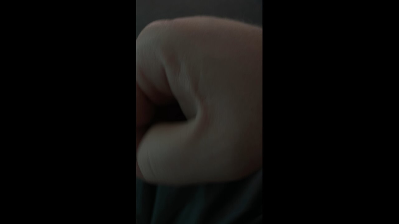 Hand puppet