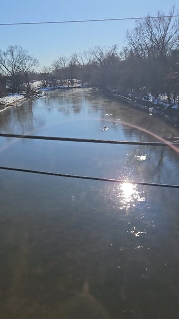 Ducks on Salt Creek Despite Frigid Temperatures