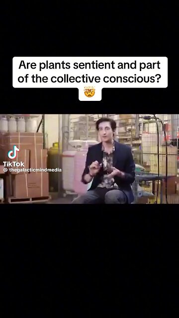 Plants Are Sentient & Part Of The Collective Consciousness