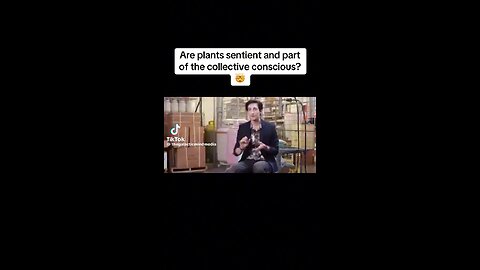 Plants Are Sentient & Part Of The Collective Consciousness