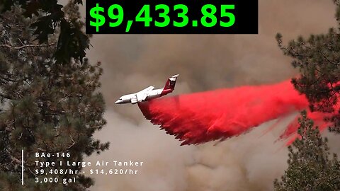 The Cost of Firefighting Aircraft