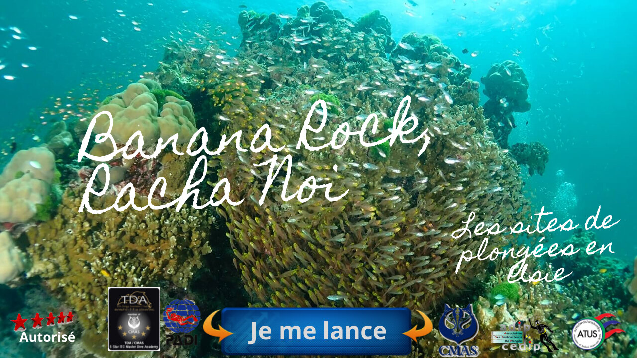 🐠 Racha Noi Banana Rock, Phuket, l'Écrin des Rares et des Géants