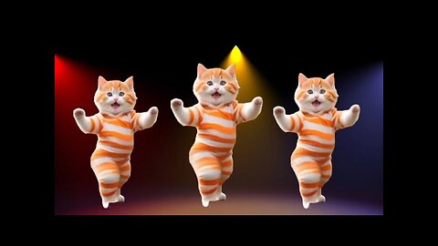 😹 Cat Videos Funny Dance 💃 कैटडांस 😻😺Baile de Gatos #funnycat #dancingcat #TanzendeKatze, #cattok