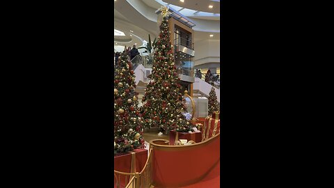 Christmas Trees in Canada Look Magical 🎄🇨🇦