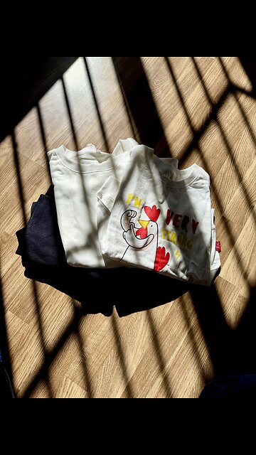 IronPanda Clothing Try On