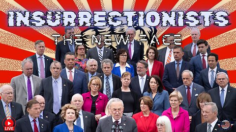 The New Insurrectionists - Democrats!!!!