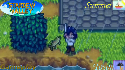 Stardew Valley - Fishing In The Town [Summer Season] - Gameplay #4 (Rain Fishing)