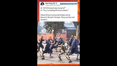 AgiBot's humanoid robots demonstrating kung fu moves alongside monks