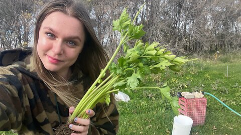 🌱 Harvesting the Garden! | IRL Stream