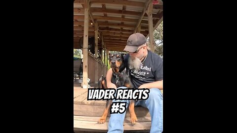 Doberman Reacts to Dad Jokes #5: Farm Secrets Fail
