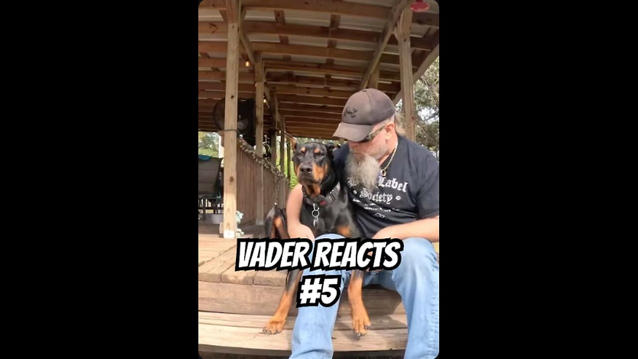 Doberman Reacts to Dad Jokes #5: Farm Secrets Fail