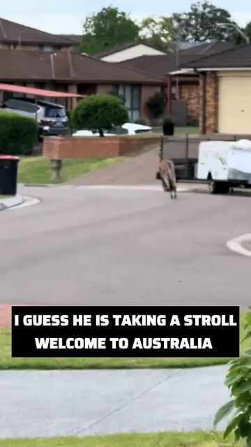 Kangaroo diaries only in Australia