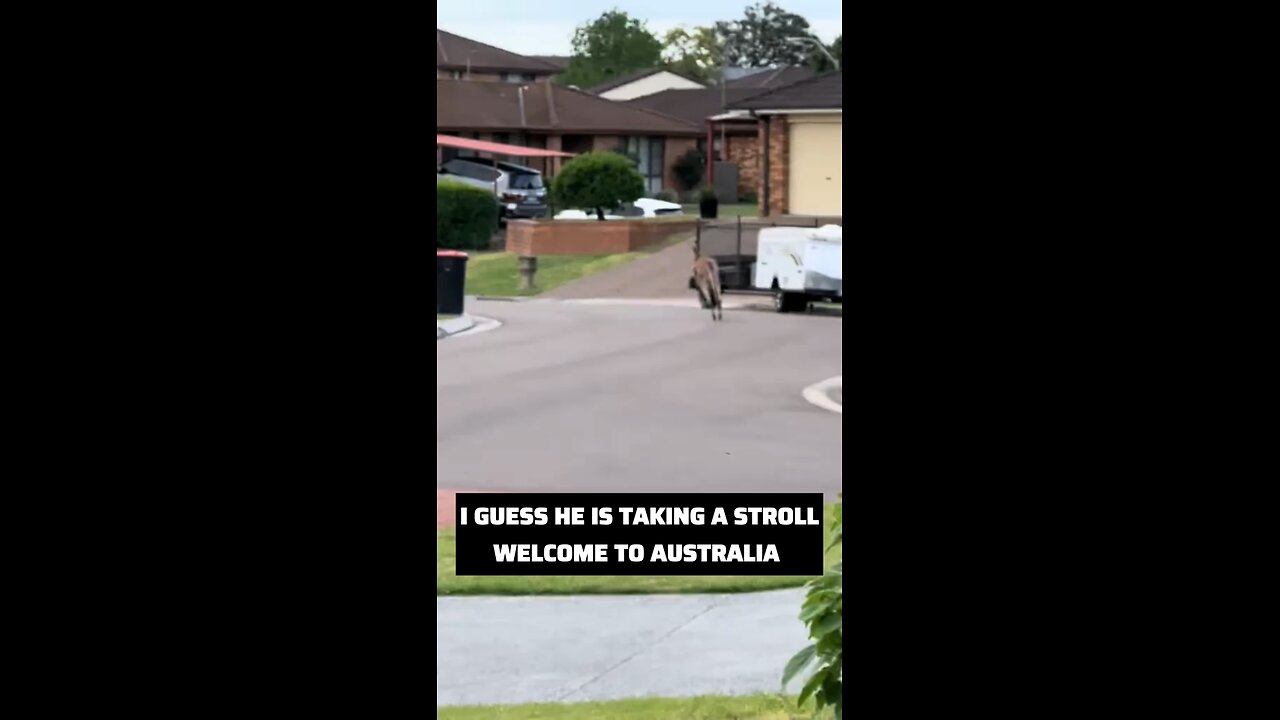 Kangaroo diaries only in Australia