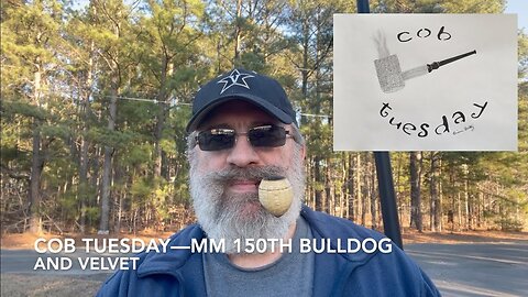 Cob Tuesday—MM 150th Bulldog and Velvet