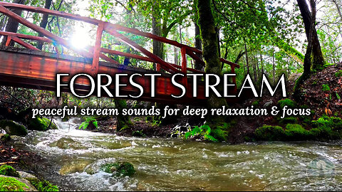 Trickling Forest Stream | Nature Sounds | Relaxing, Sleep, Meditation, Study, Focus, Stress Relief