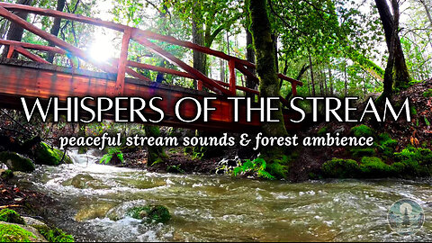Peaceful Stream Sounds & Forest Ambience for Sleep & Relaxation 🌲💦 | Sounds of Nature
