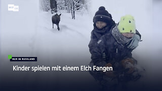 Nur in Russland: Kinder spielen mit einem Elch Fangen