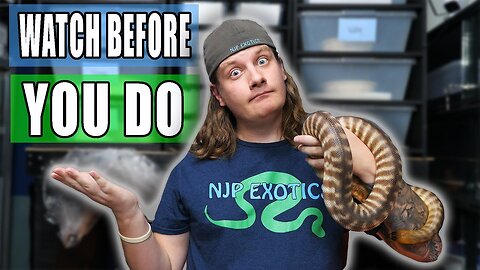 Should YOU Breed Reptiles?