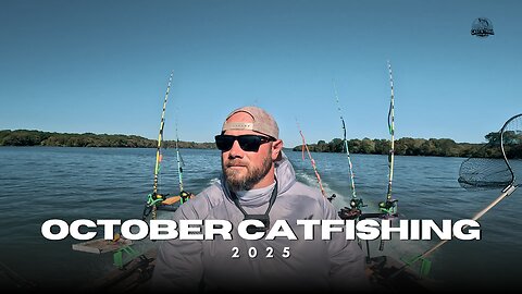 Why Catfish Aren't Biting: Trolling Reality on the Lake