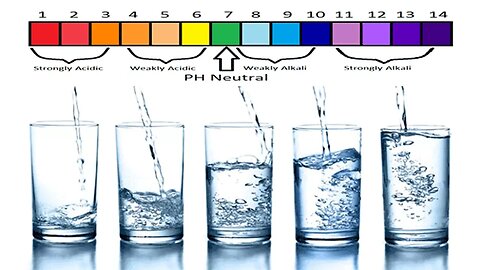 Alkaline Vs Distilled Water