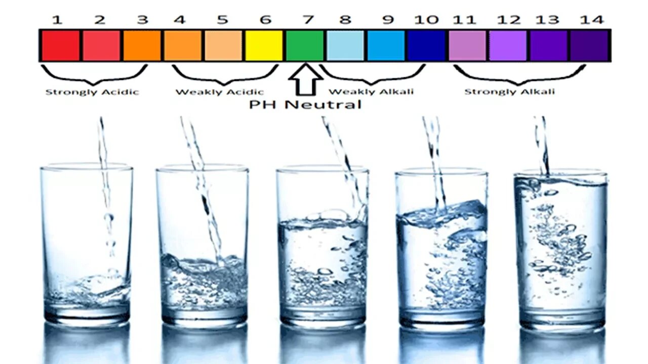 Alkaline Vs Distilled Water