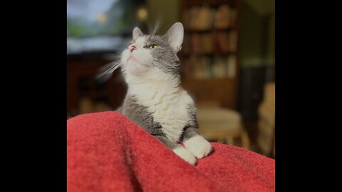 Episode 3034 CWSA 12/02/25