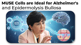 MUSE Cells are Ideal for Alzheimer's and EB Because they Differentiate into Needed Cells