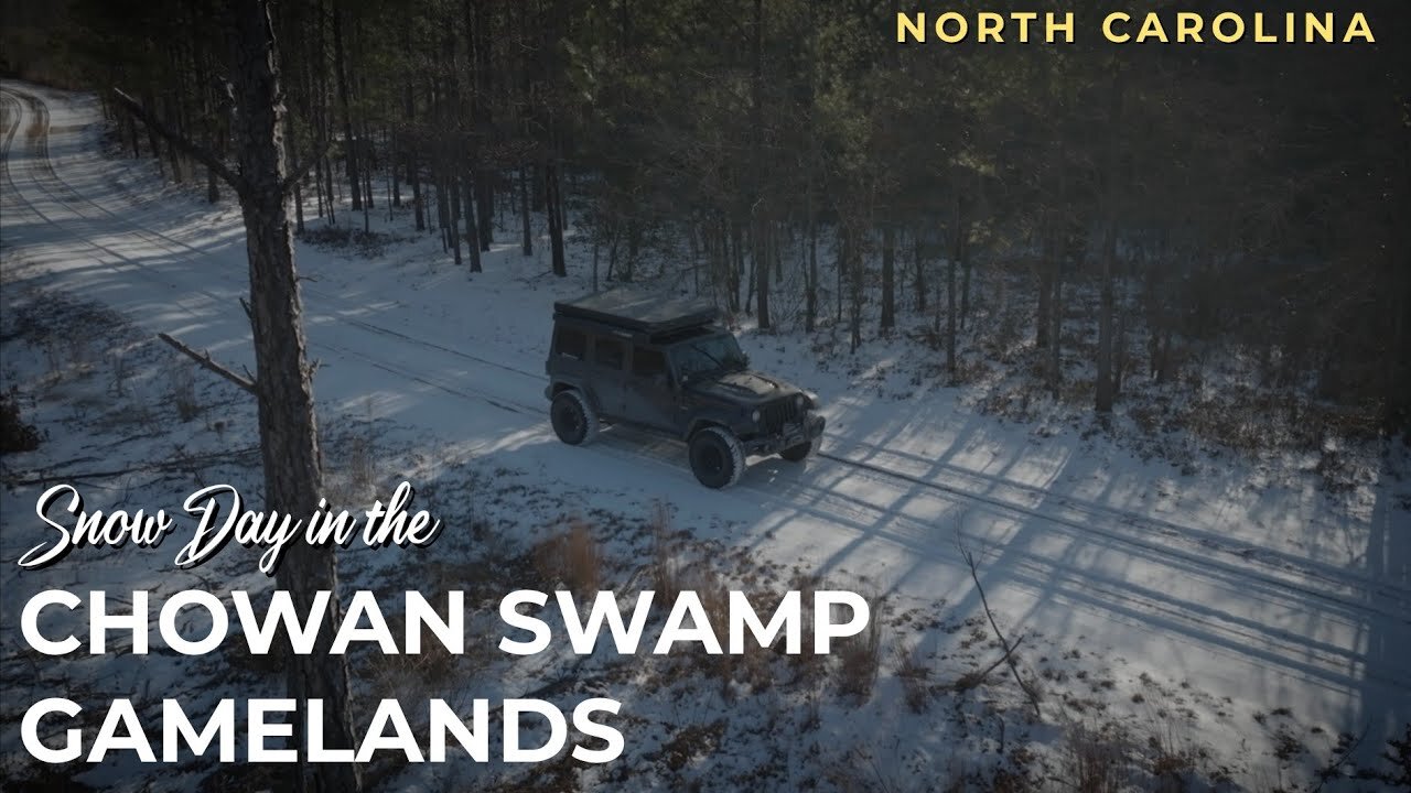 A Snow Day in the Chowan Swamp Gamelands | Exploring North Carolina After a Winter Storm