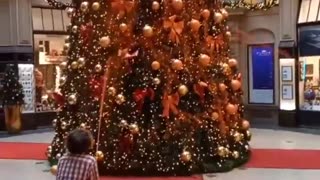 Climate activists are the worst