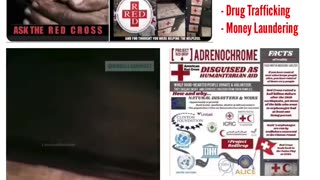 Did you know the Red Cross was owned by the Rothchilds ??