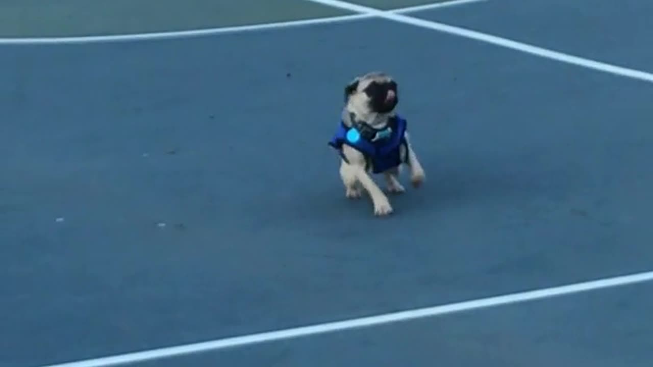 😨💥 The Scariest Poltergeist Activity I've Ever Seen! | TheHauntingHour